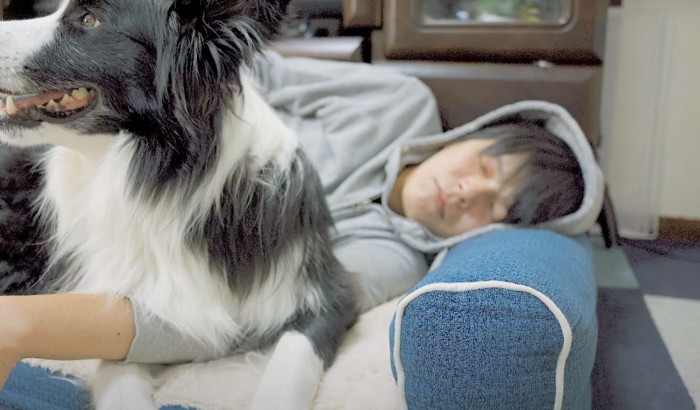 犬と眠る人