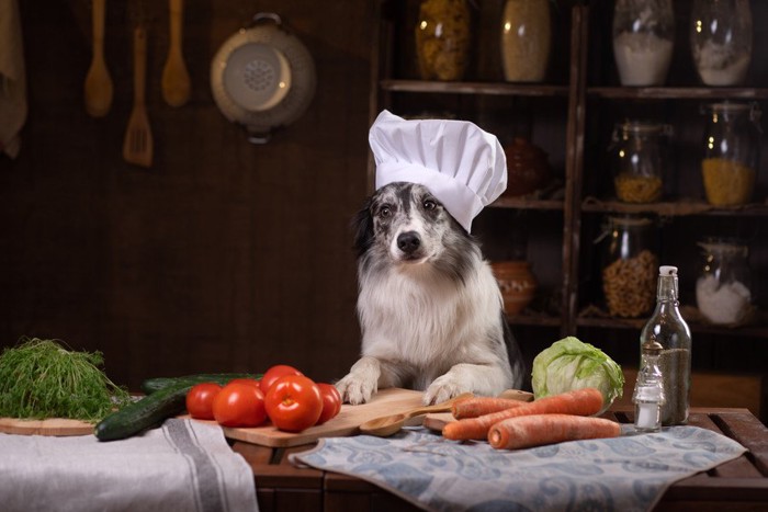 料理人風な犬と野菜