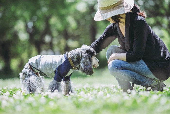 飼い主さんと老犬