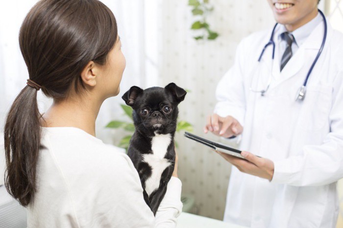 犬の健康診断