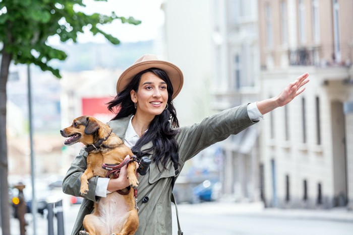 犬を抱っこしている女性