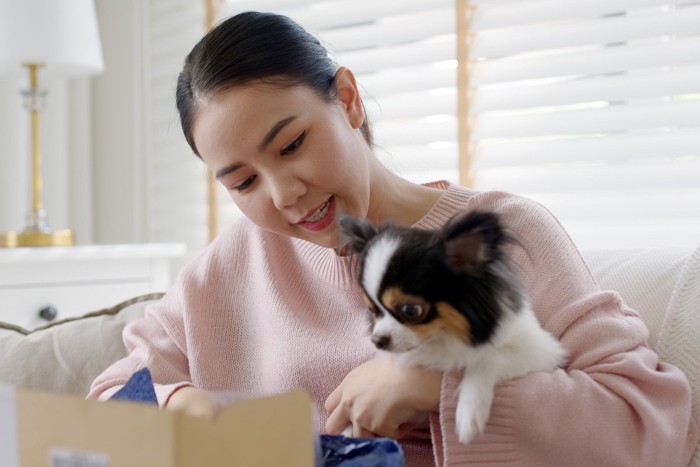 箱の中身を確認する人と犬