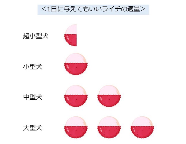 犬に食べさせてもいいライチの量
