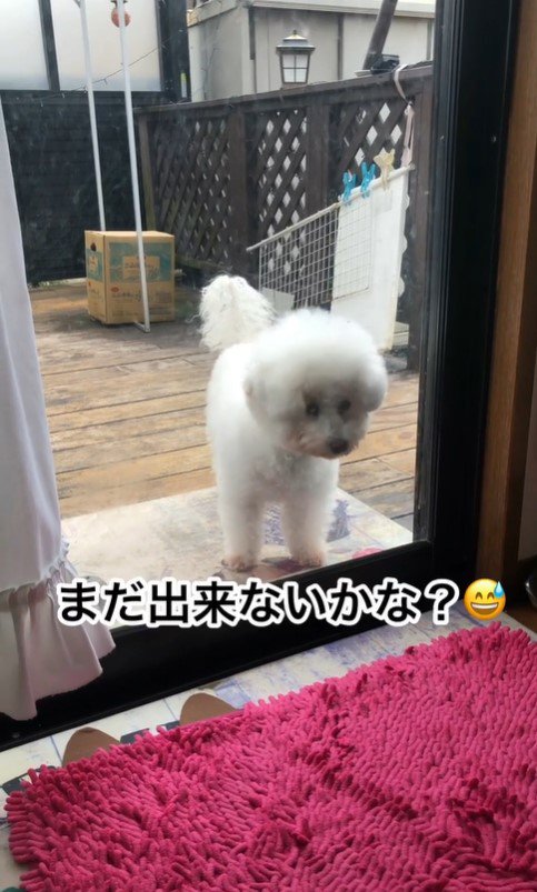 リリーちゃんの実践2