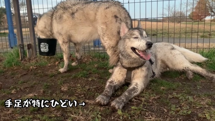 自然大満喫な2匹なのでした♡