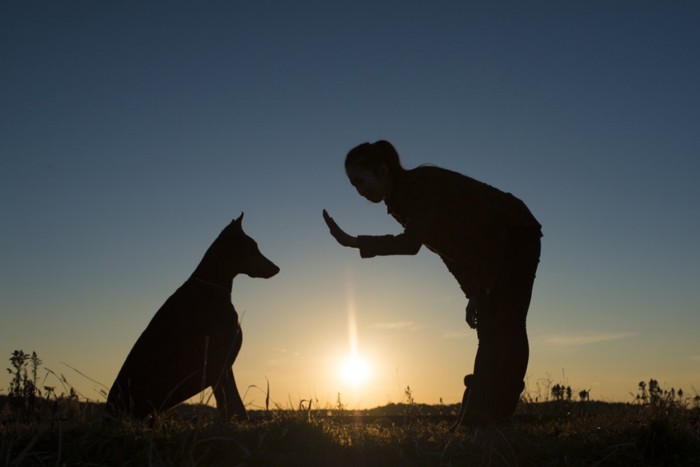 犬と人のシルエット