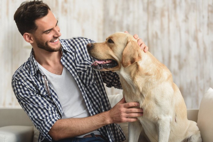 犬の頭を撫でる男性