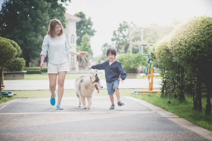 散歩する犬と女性と子供