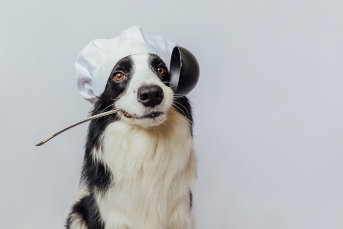 犬レードルを咥えた犬