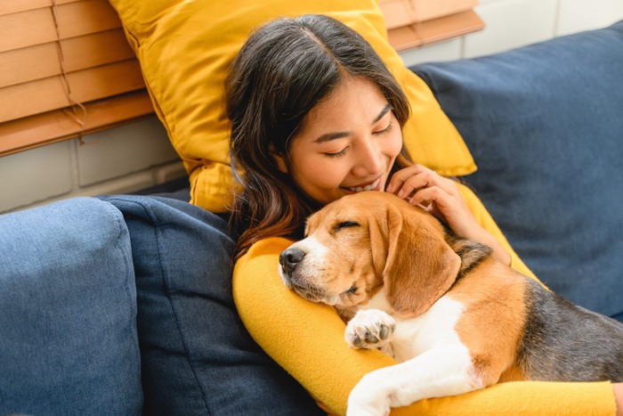 女性の腕の中で寝る犬