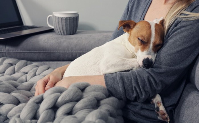 女性に抱っこされている犬