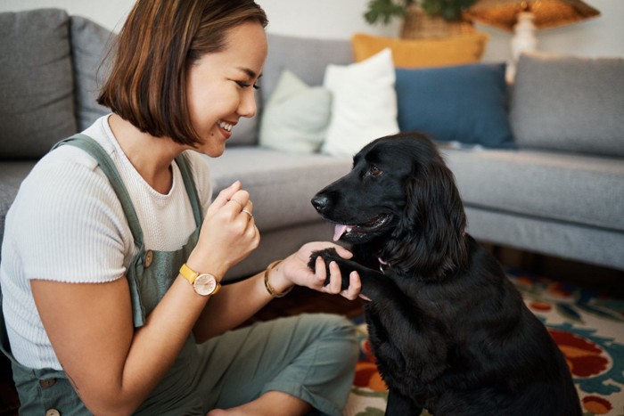 一緒に遊ぶ犬と飼い主