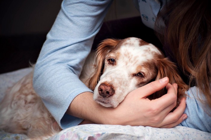 飼い主の腕に抱かれて眠れない老犬