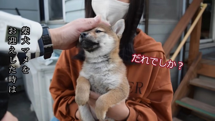 あどけなさが残る子犬のマメちゃん