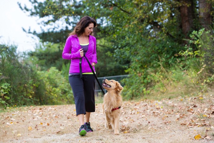 目を合わせて散歩する犬と女性