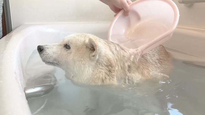 かけ湯もしてもらって極楽気分