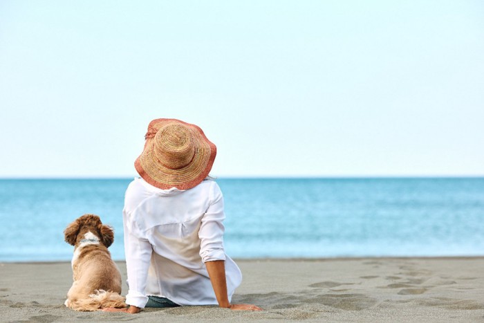 夏に浜辺で休む女性と犬