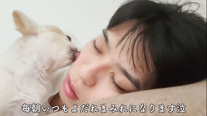 顔を舐める犬