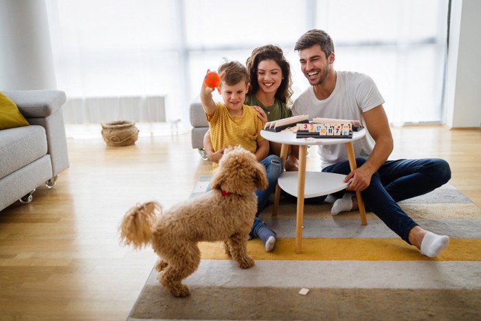 家族と室内で遊ぶ犬