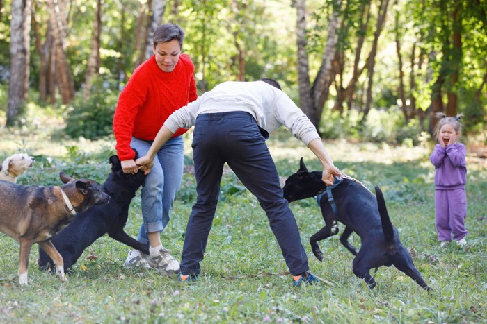 威嚇し合う2頭の犬と押さえようとする飼い主