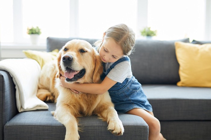 快適に過ごす犬