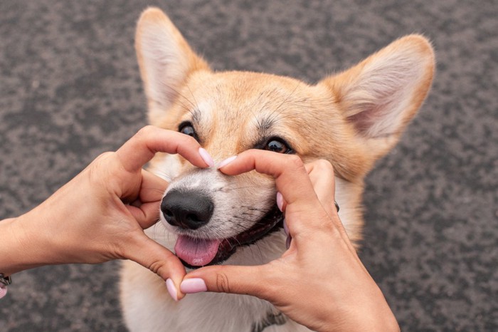 女性と寄り添う犬