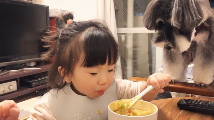 お食事中の娘さんを見守るジジちゃん