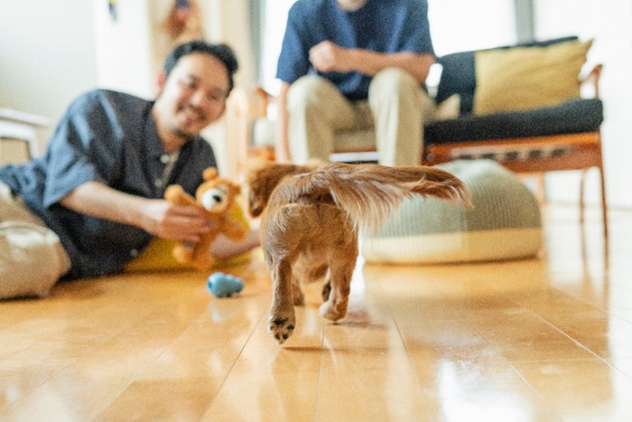 男性の元に駆け寄る犬