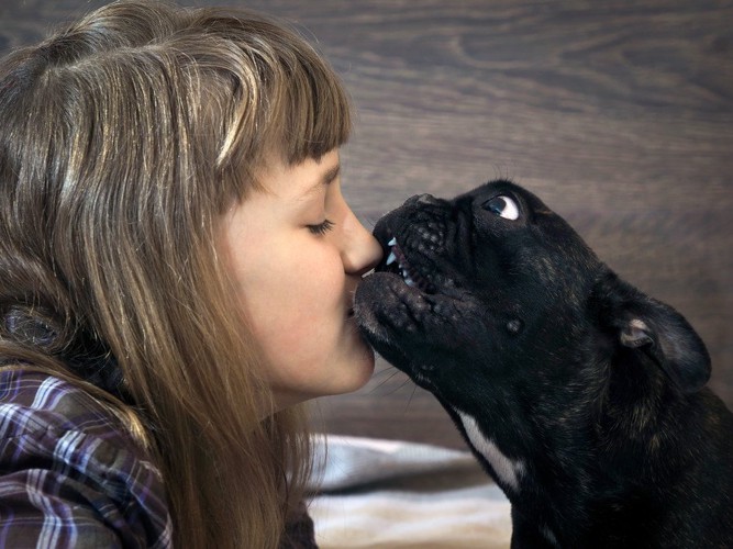 女の子の鼻を噛む犬