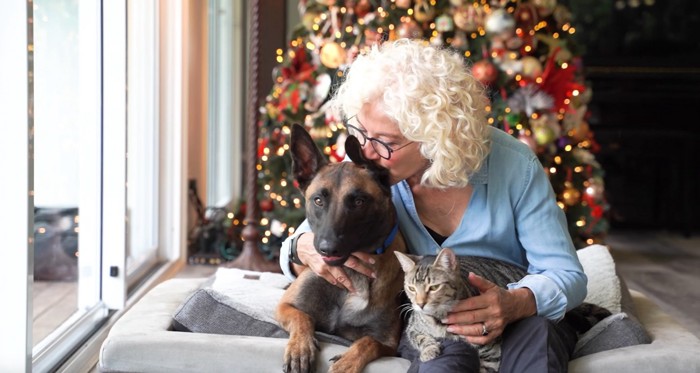 クリスマツツリーの前に犬と猫を抱く女性