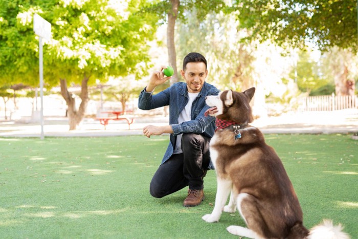 ボールを持つ男性と犬