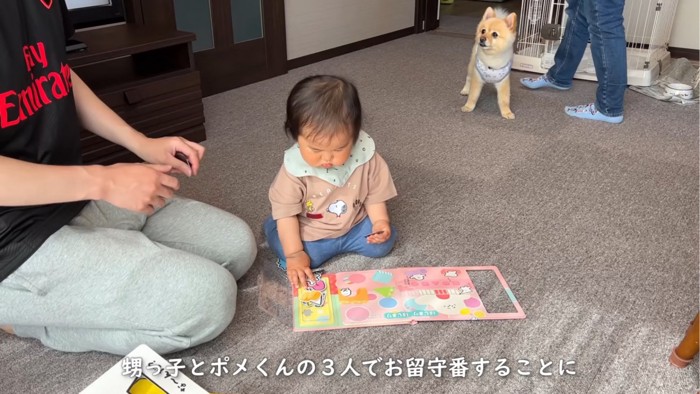 遊ぶ赤ちゃんと飼い主を見つめる犬