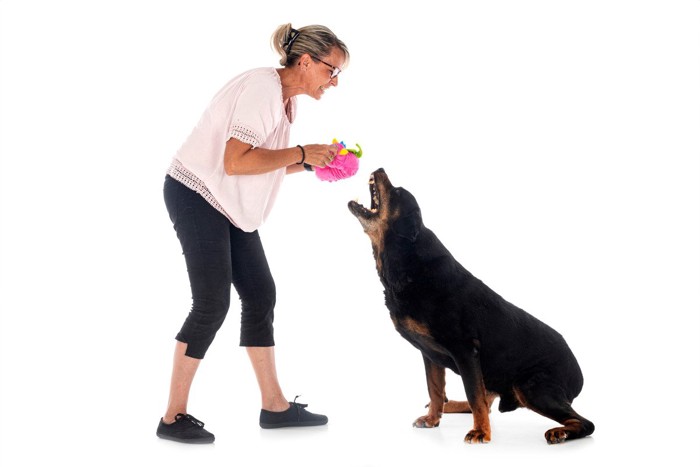 吠える犬と飼い主