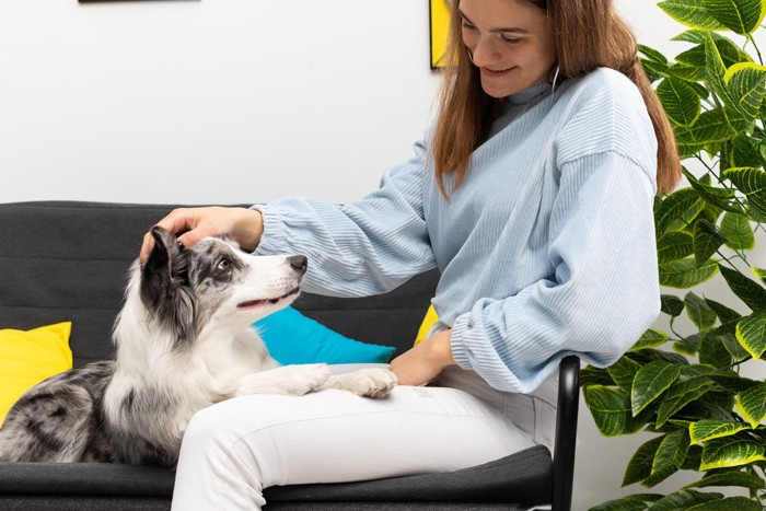 前足で女性にタッチする犬