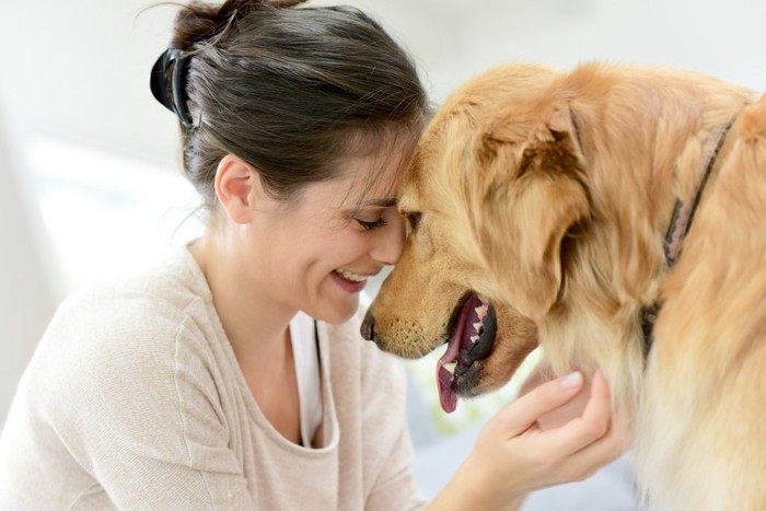 おでこをくっつけ合う女性と犬