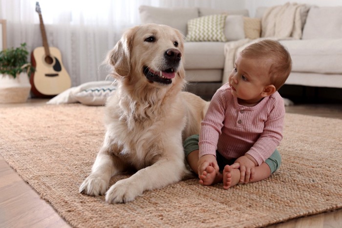 赤ちゃんと犬