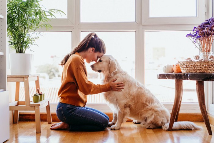 向かい合って額をくっつけ合う飼い主と犬