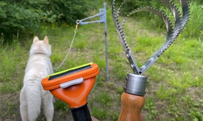 道具のアップと犬の後ろ姿