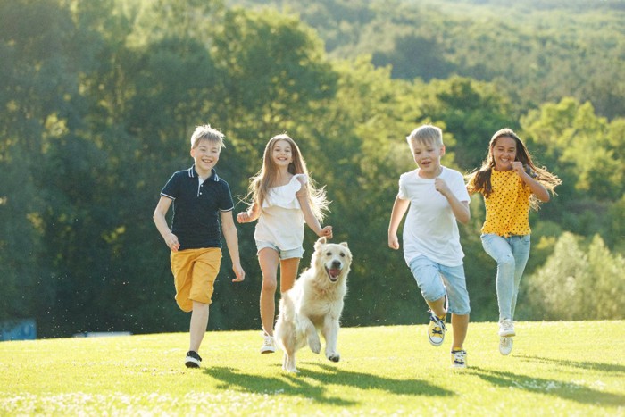 犬と一緒に走る4人の子どもたち