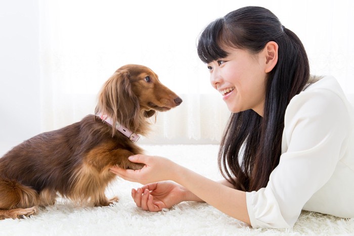 見つめ合う犬と飼い主