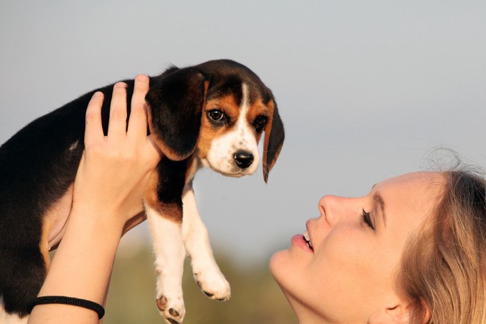 女性に抱きあがれて目をそらす犬