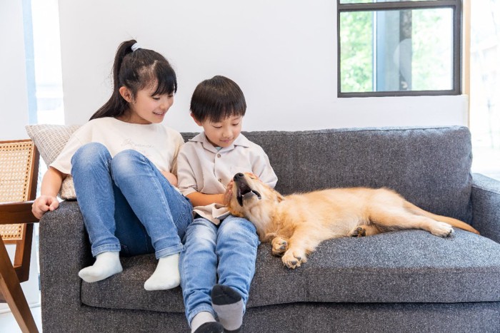 仔犬と戯れる子ども