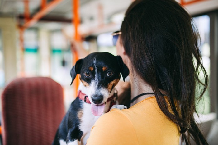 女性に抱っこされてバスに乗る犬