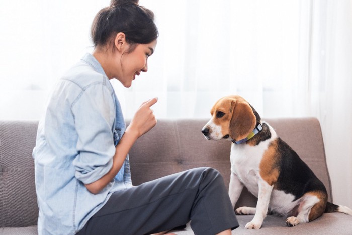 飼い主さんとソファに座る犬