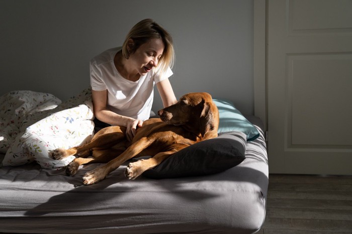 起こされてボーっとしている犬