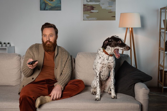 テレビを見る男性とあくびをする犬
