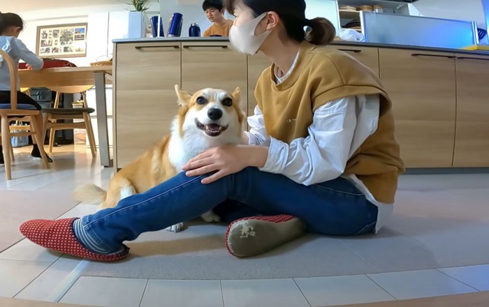 犬を撫でる女性