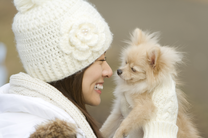 撫でられ見つめる犬