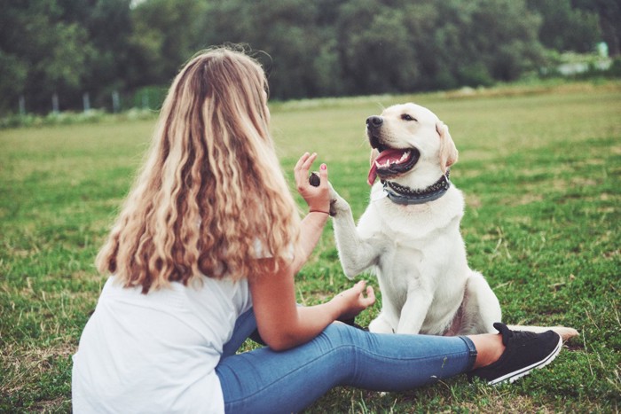 笑顔で触れ合う女性と犬