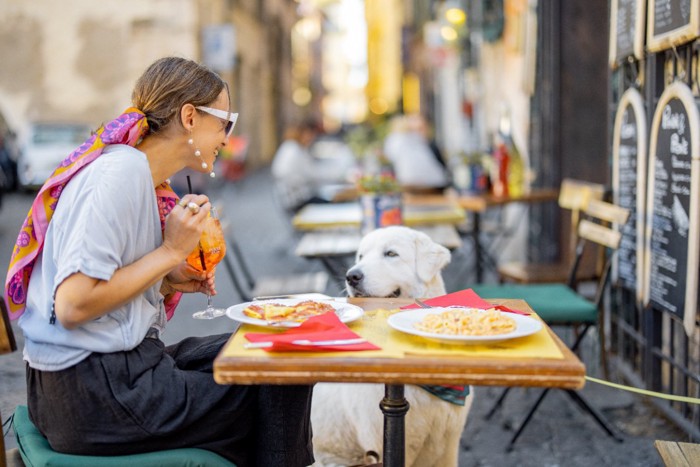 女性のご飯を覗く犬